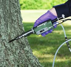 Tree Injection Plug Tree Care Portland | Tree Injections & Deep Root Fertilization – Ribbon ...